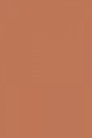 FARROW AND BALL BOOK ROOM RED NO. 50 PAINT